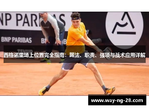 西格诺里场上位置完全指南：踢法、职责、强项与战术应用详解